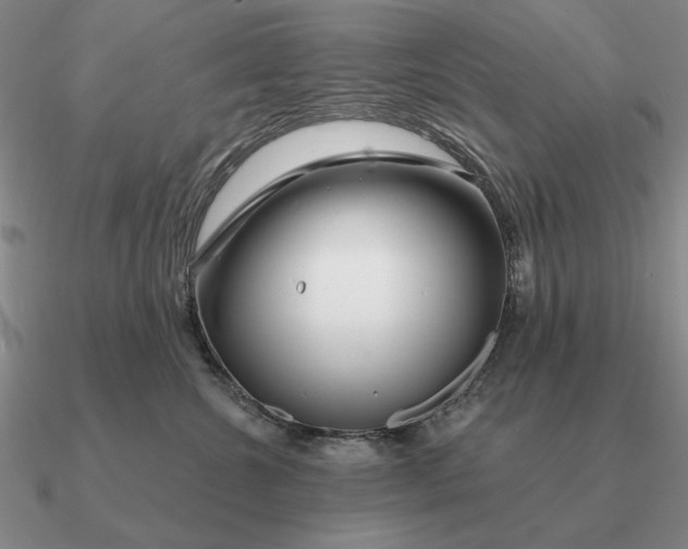 X0000090610572200708071206