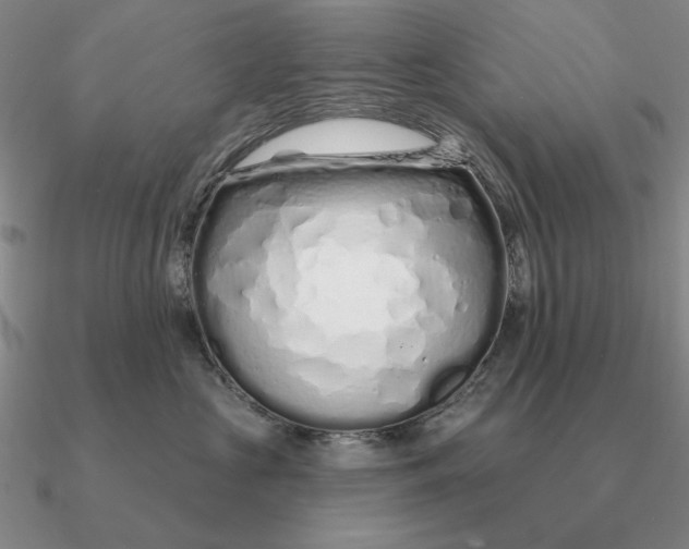 X0000090610573200708071206