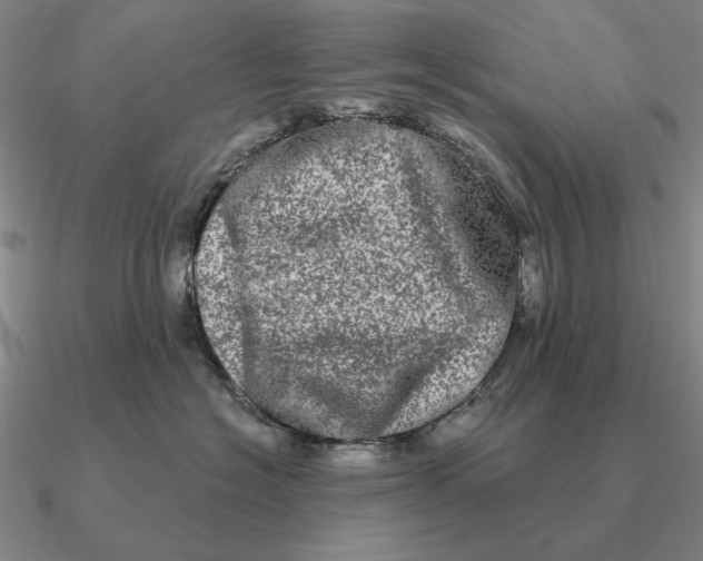 X0000090610574200708071206