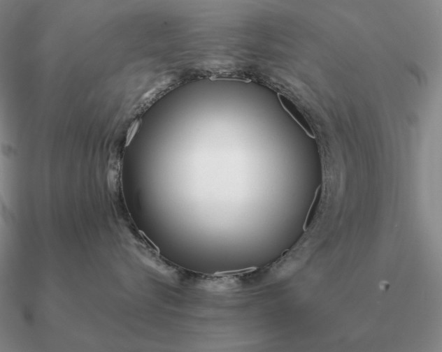 X0000090610576200708071206