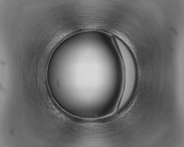 X0000090610577200708071205