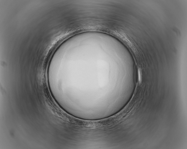 X0000090610579200708071205