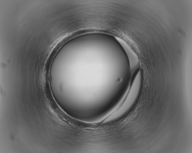 X0000090610580200708071205