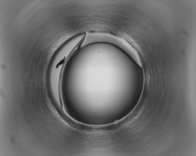 X0000090610581200708071205