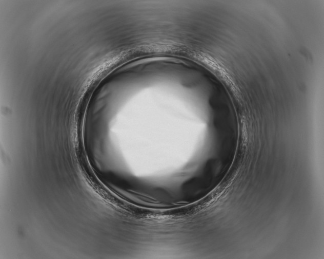 X0000090610582200708071205