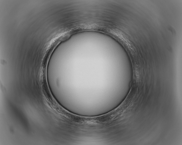 X0000090610583200708071205