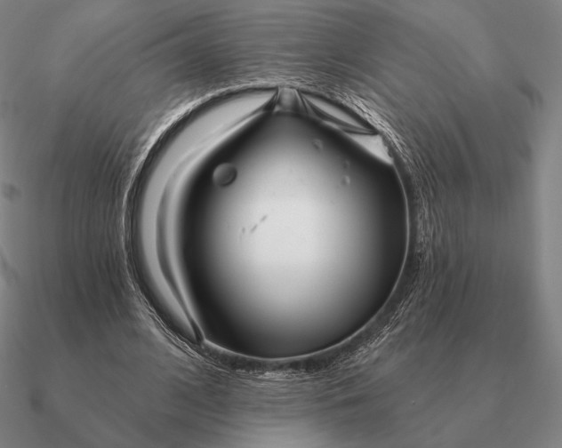 X0000090610584200708071205