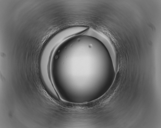 X0000090610585200708071205