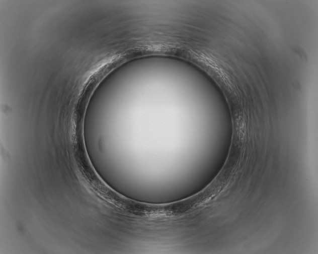 X0000090610587200708071205