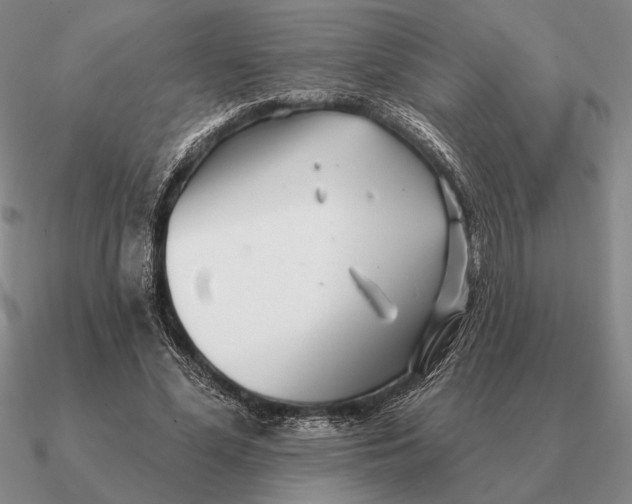 X0000090610588200708071205