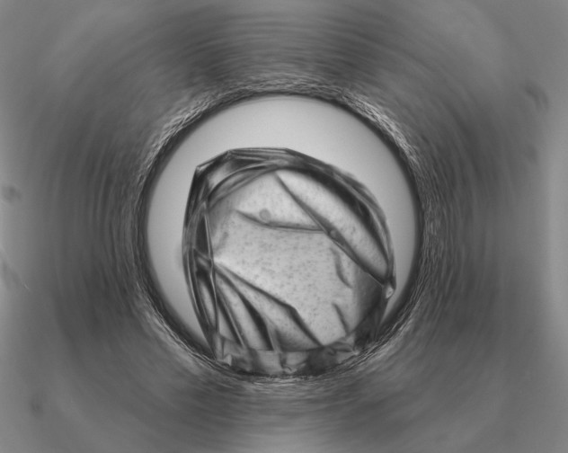 X0000090610589200708071205