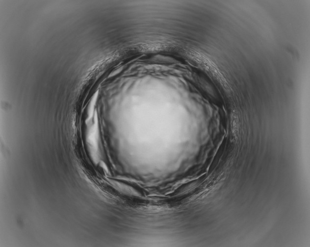 X0000090610590200708071205