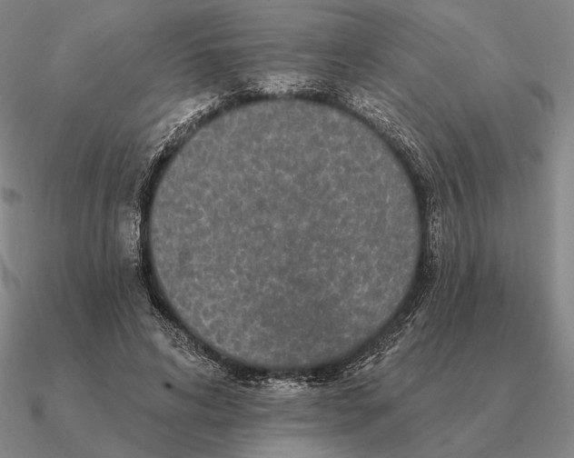 X0000090610592200708071205