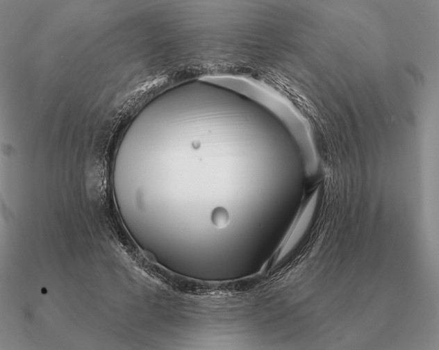 X0000090610593200708071205