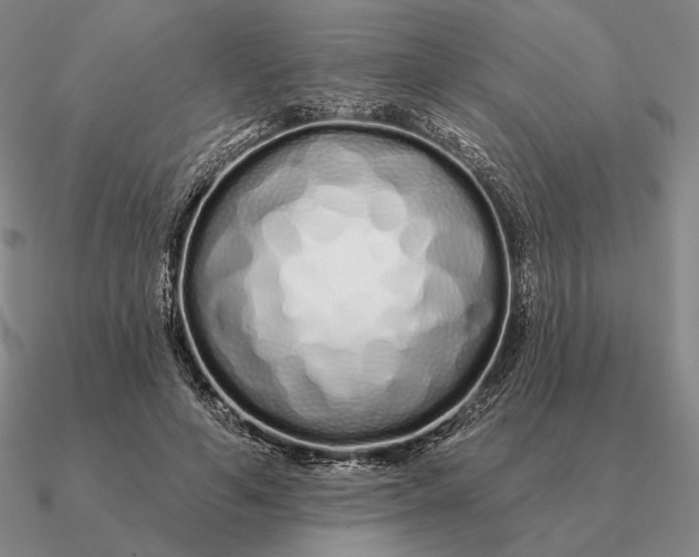 X0000090610594200708071205