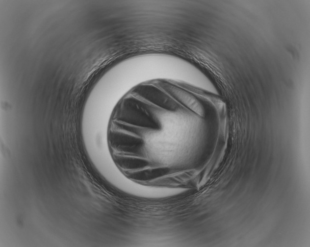 X0000090610595200708071205