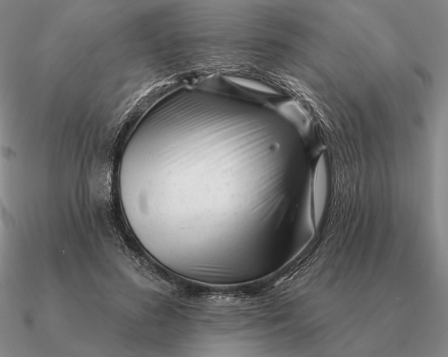 X0000090610596200708071205