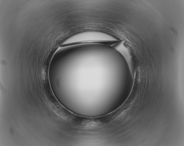 X0000090610597200708071205