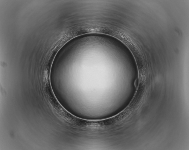 X0000090610598200708071205