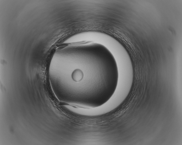 X0000090610599200708071205