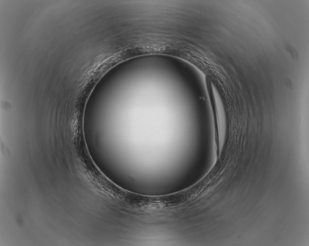 X0000090610600200708071205