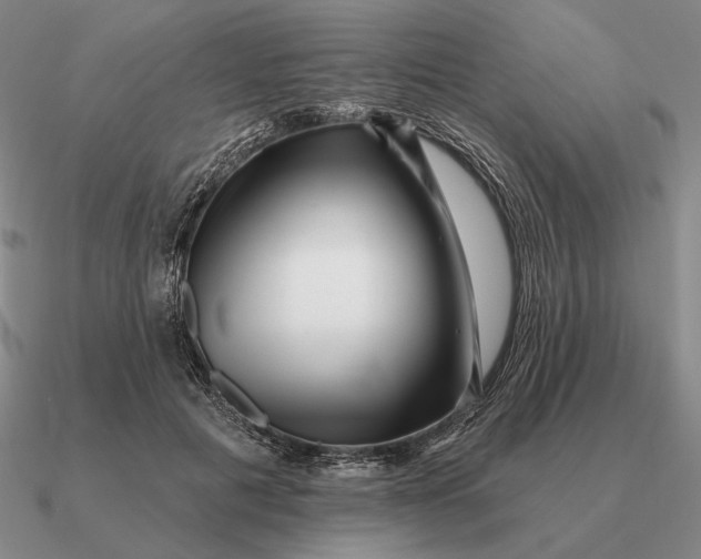 X0000090610601200708071205