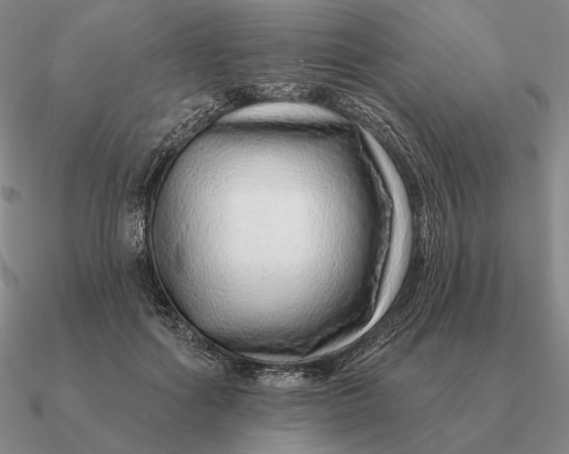 X0000090610602200708071205