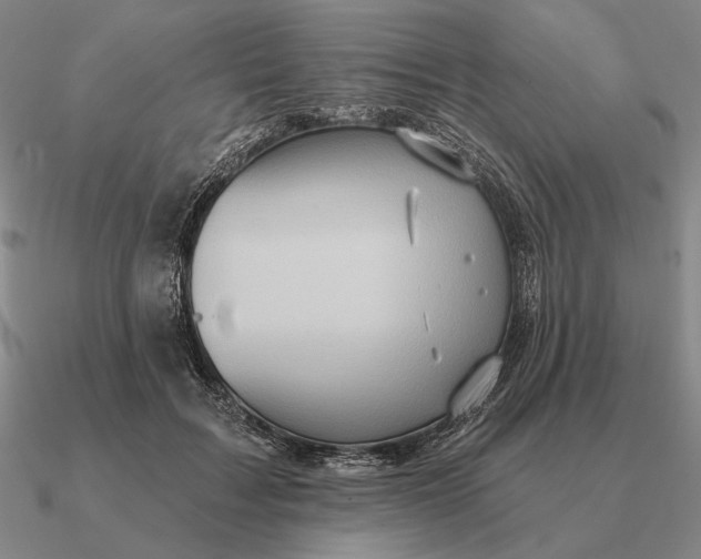 X0000090610603200708071205