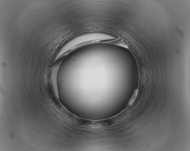 X0000090610604200708071205