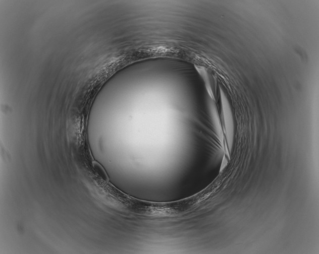 X0000090610605200708071205