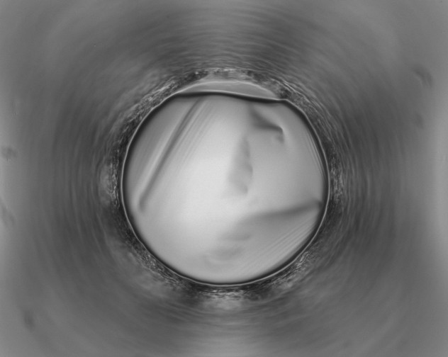 X0000090610606200708071205