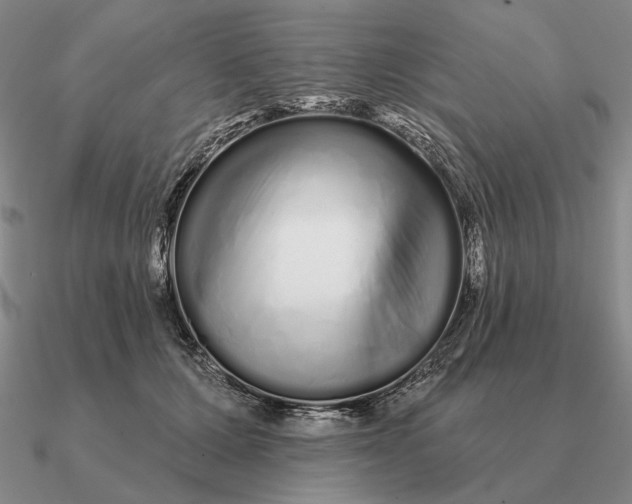 X0000090610607200708071205