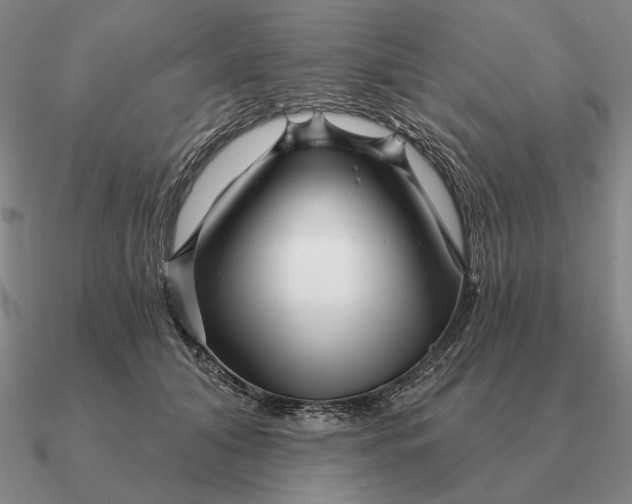 X0000090610608200708071205