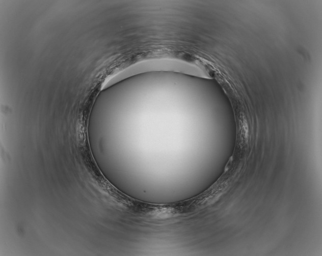 X0000090610609200708071205