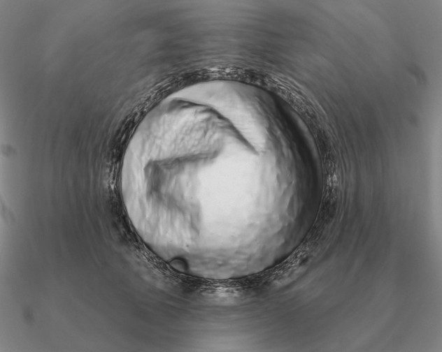 X0000090610610200708071205