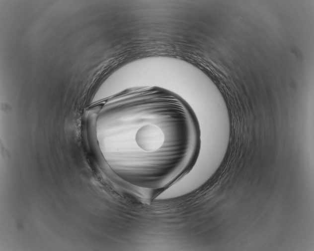 X0000090610611200708071205