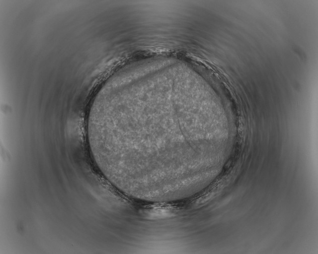 X0000090610612200708071205