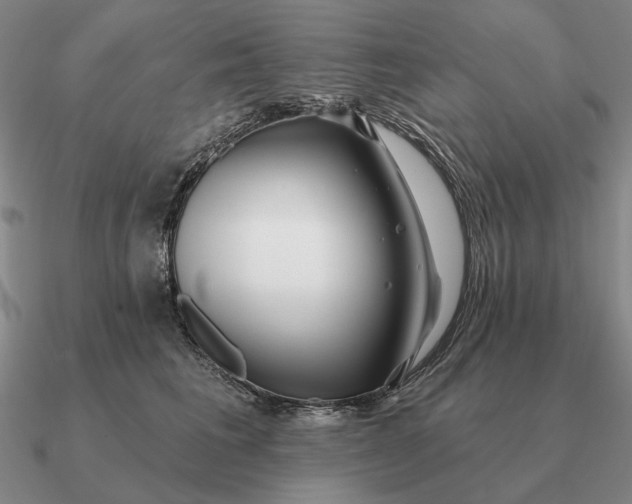 X0000090610613200708071205