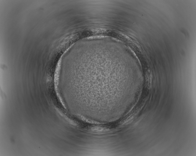 X0000090610614200708071205