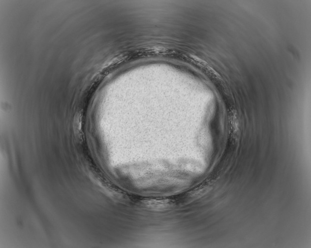 X0000090610615200708071205