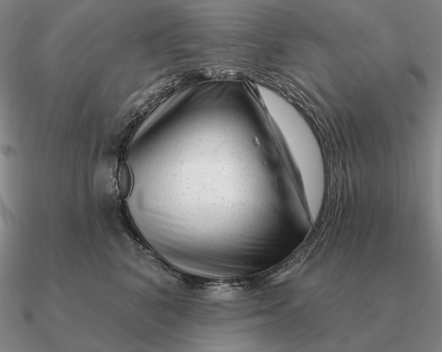 X0000090610616200708071205