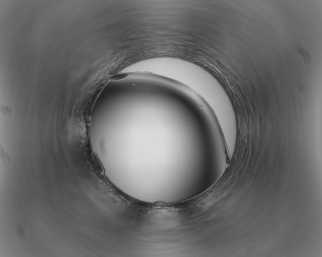 X0000090610617200708071205