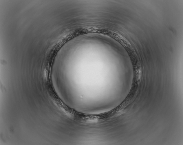 X0000090610618200708071205