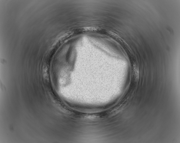 X0000090610619200708071205