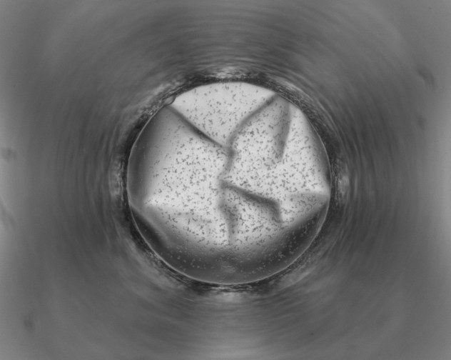 X0000090610620200708071205