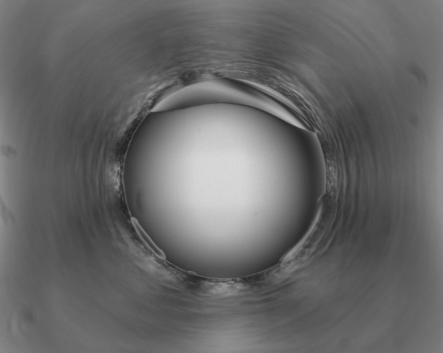 X0000090610621200708071205