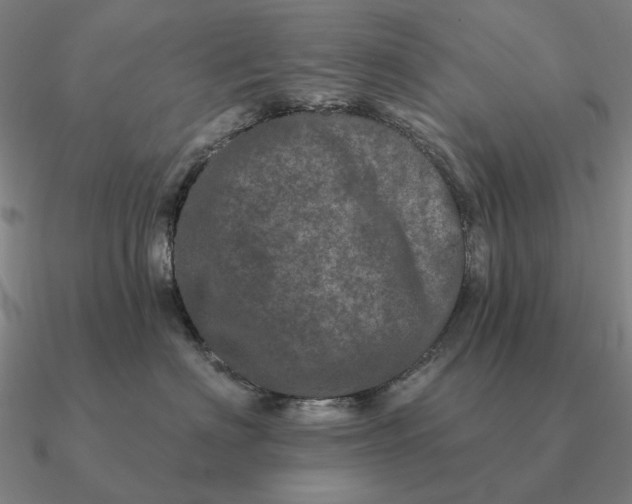 X0000090610622200708071205