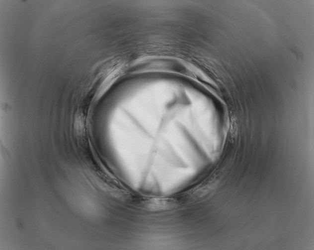 X0000090610623200708071205