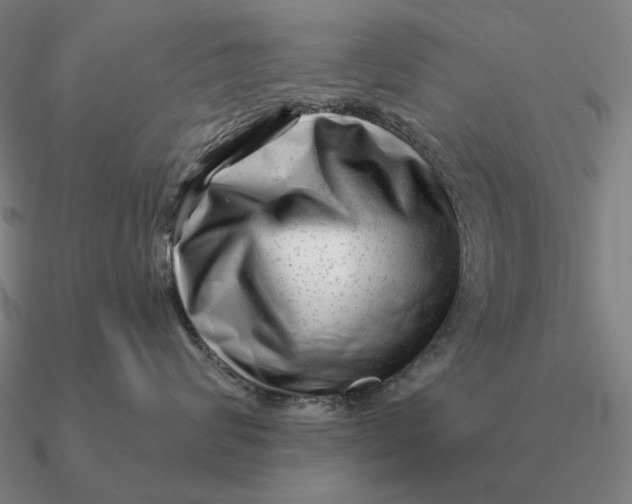 X0000090610624200708071204