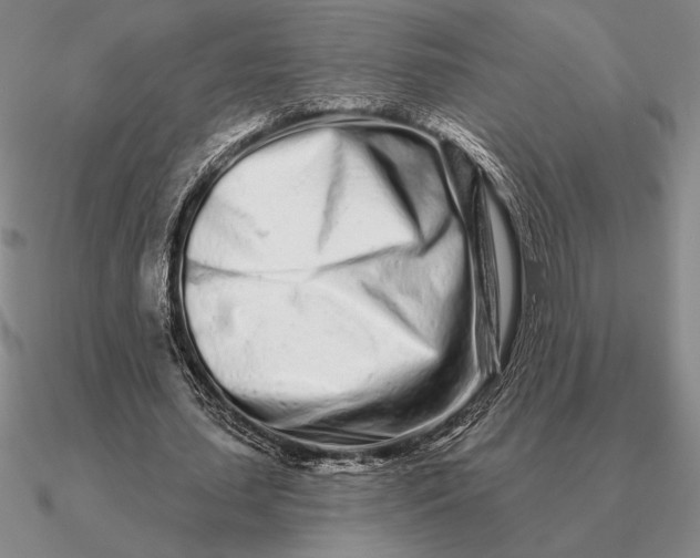 X0000090610627200708071204